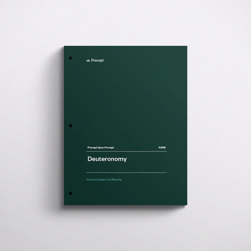 Deuteronomy Bible Study - Image 2