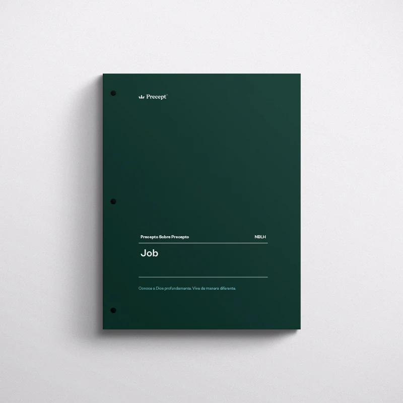 SPANISH-JOB-PRECEPT WORKBOOK